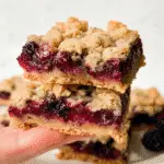Vegan Berry Crumble Bars