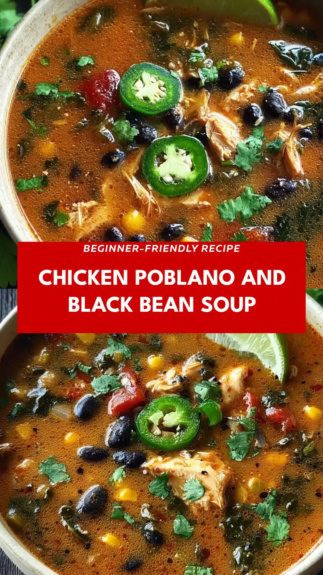 Chicken Poblano and Black Bean Soup