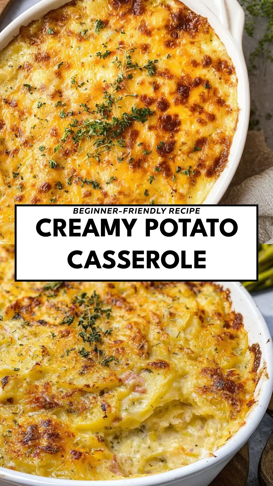 Creamy Potato Casserole