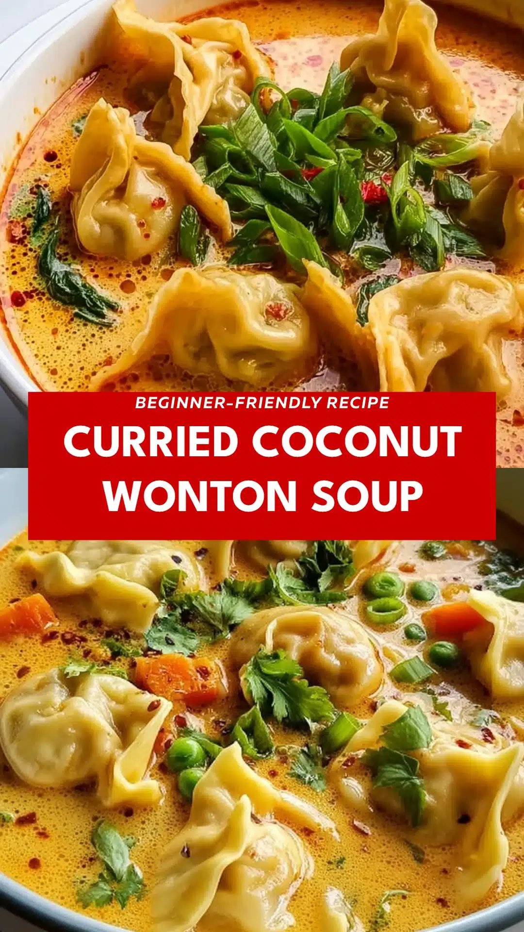 Curried Coconut Wonton Soup