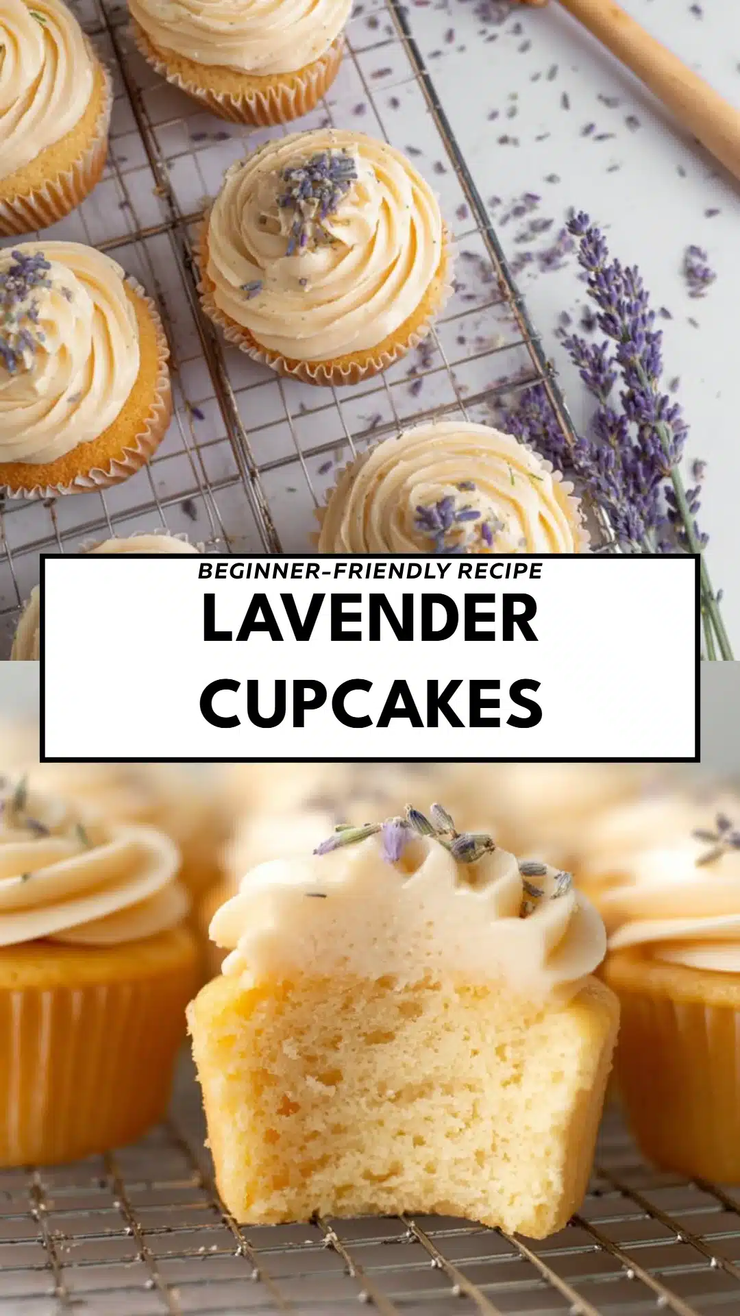 Lavender Cupcakes