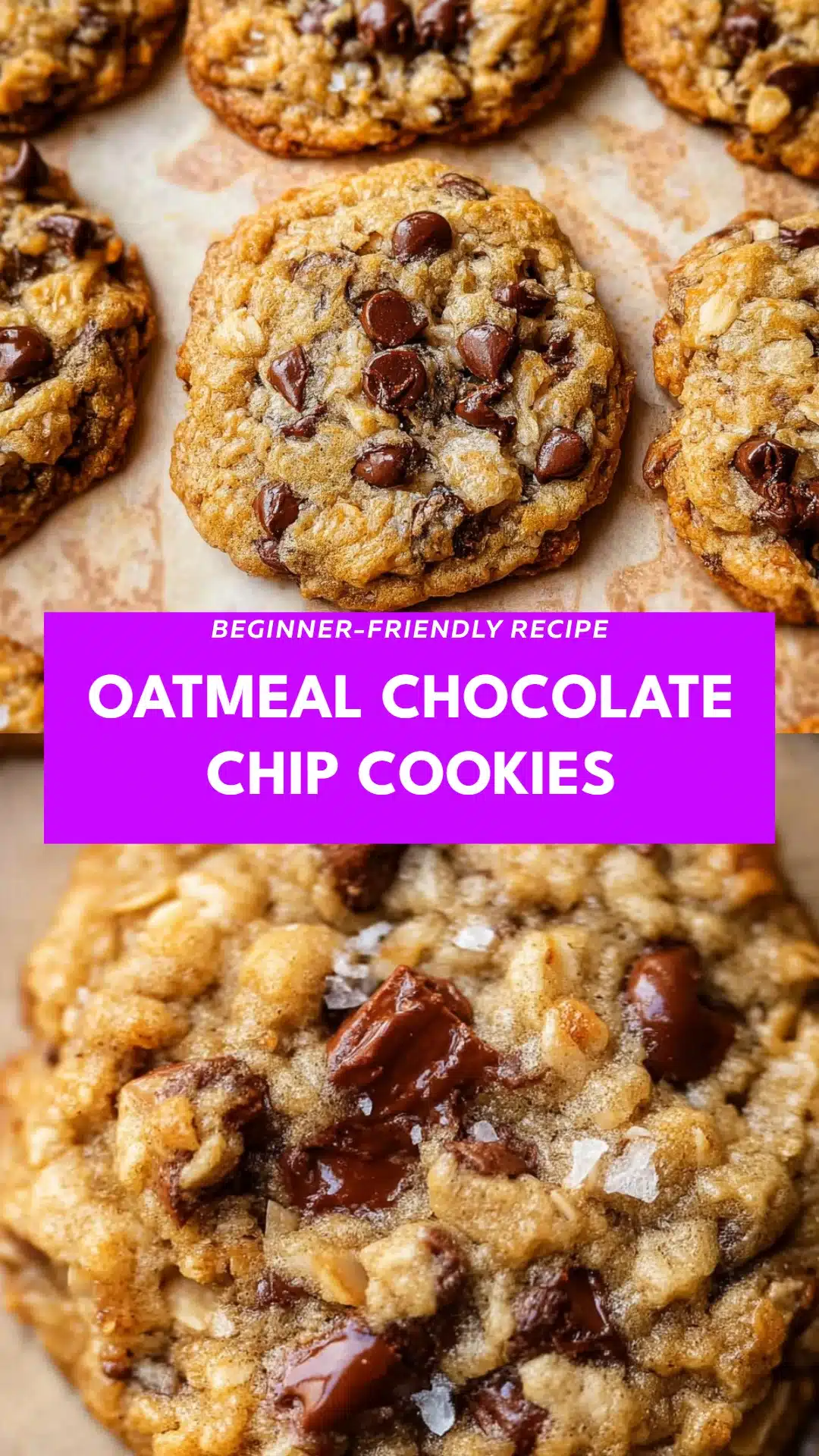 Oatmeal Chocolate Chip Cookies