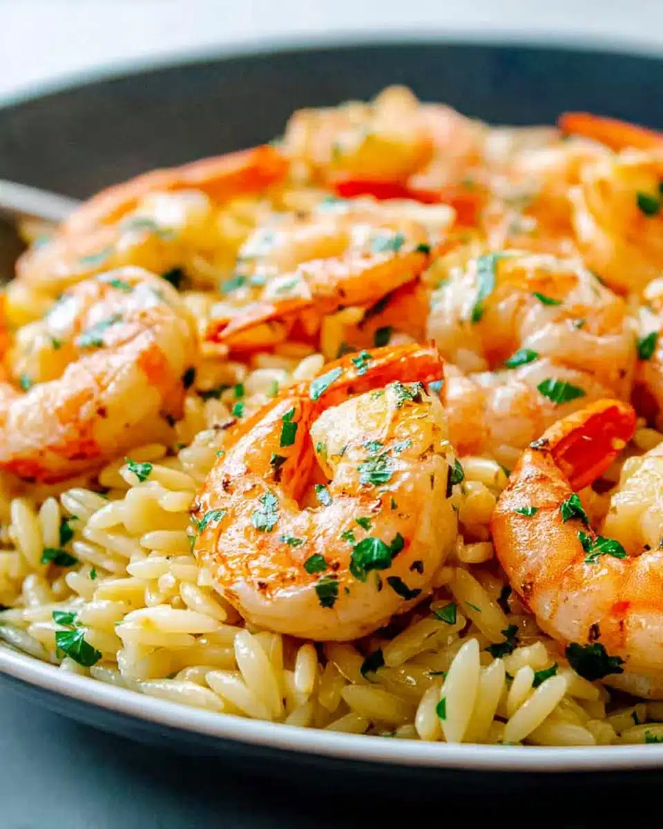 Savory Shrimp Scampi Orzo