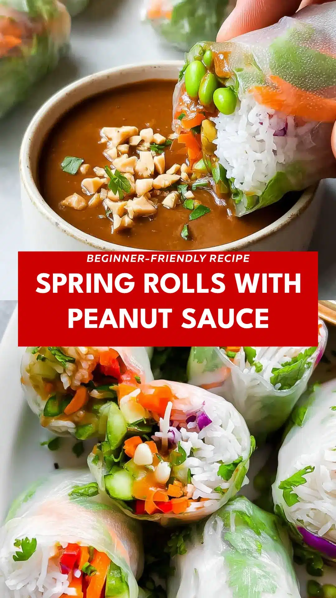 Spring Rolls with Peanut Sauce