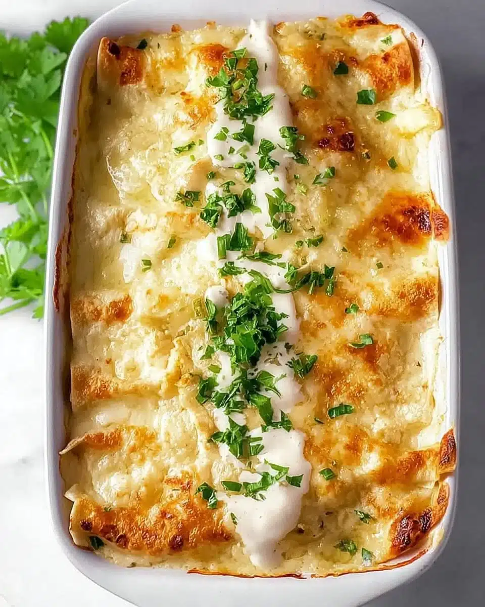 Chicken Enchiladas with Sour Cream White Sauce