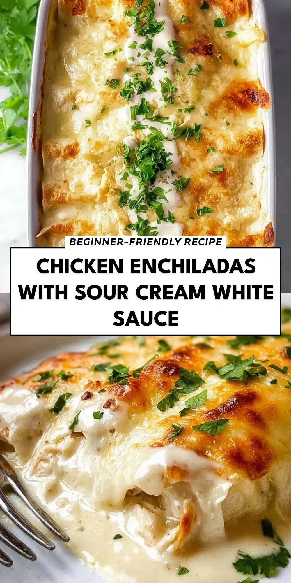 Chicken Enchiladas with Sour Cream White Sauce
