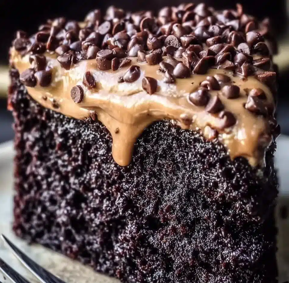 Deliciously rich Chilean Chocolate Cake served on a plate.