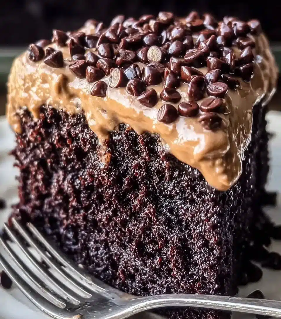 Chilean Chocolate Cake