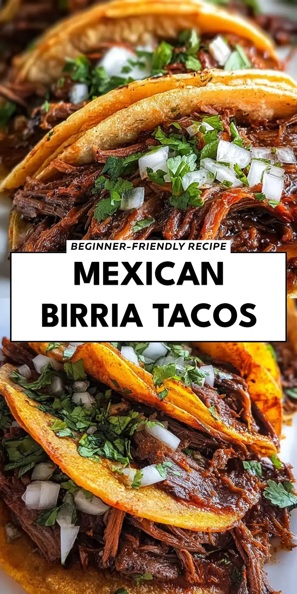 Mexican Birria Tacos