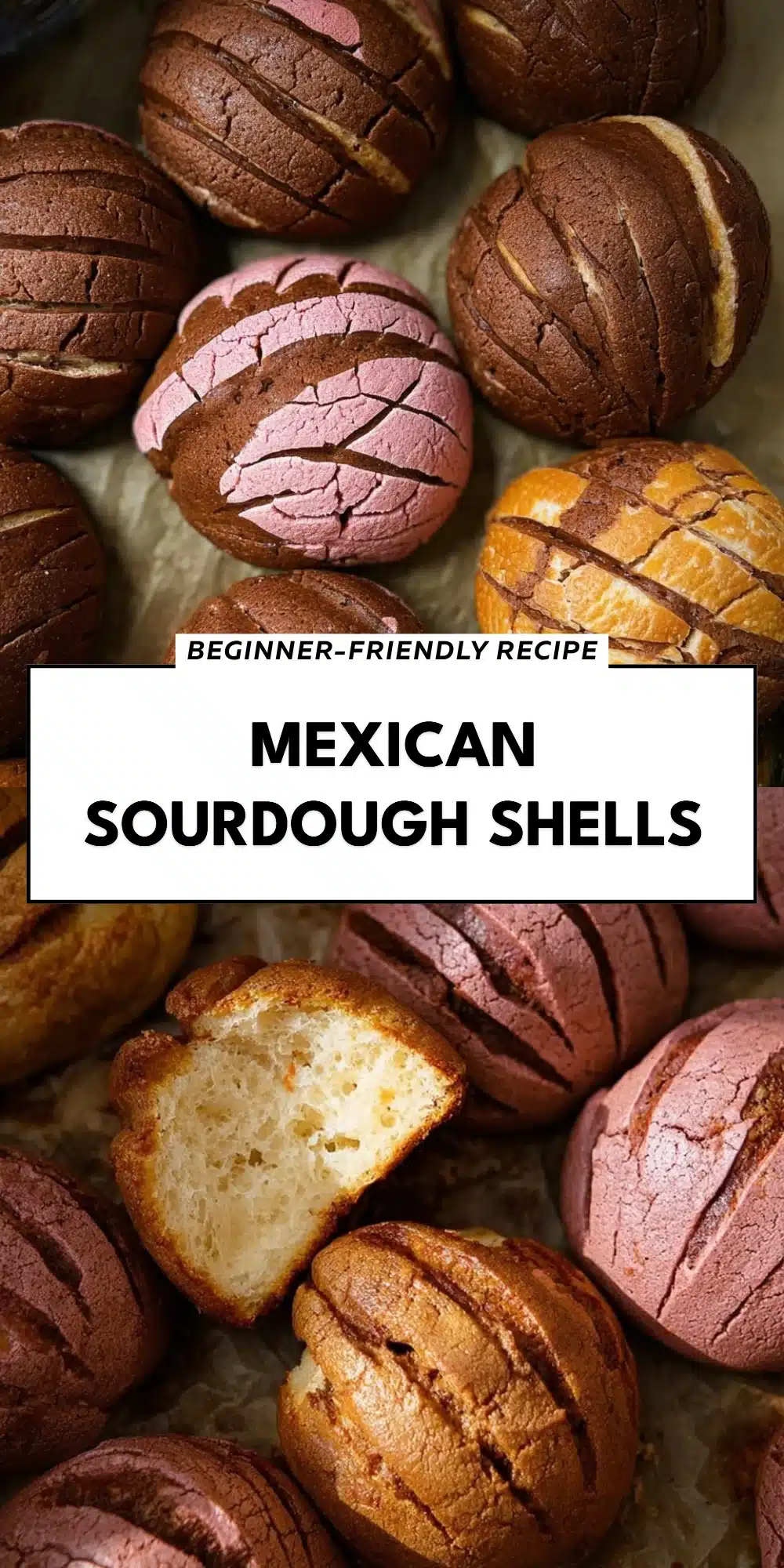 Mexican Sourdough Shells