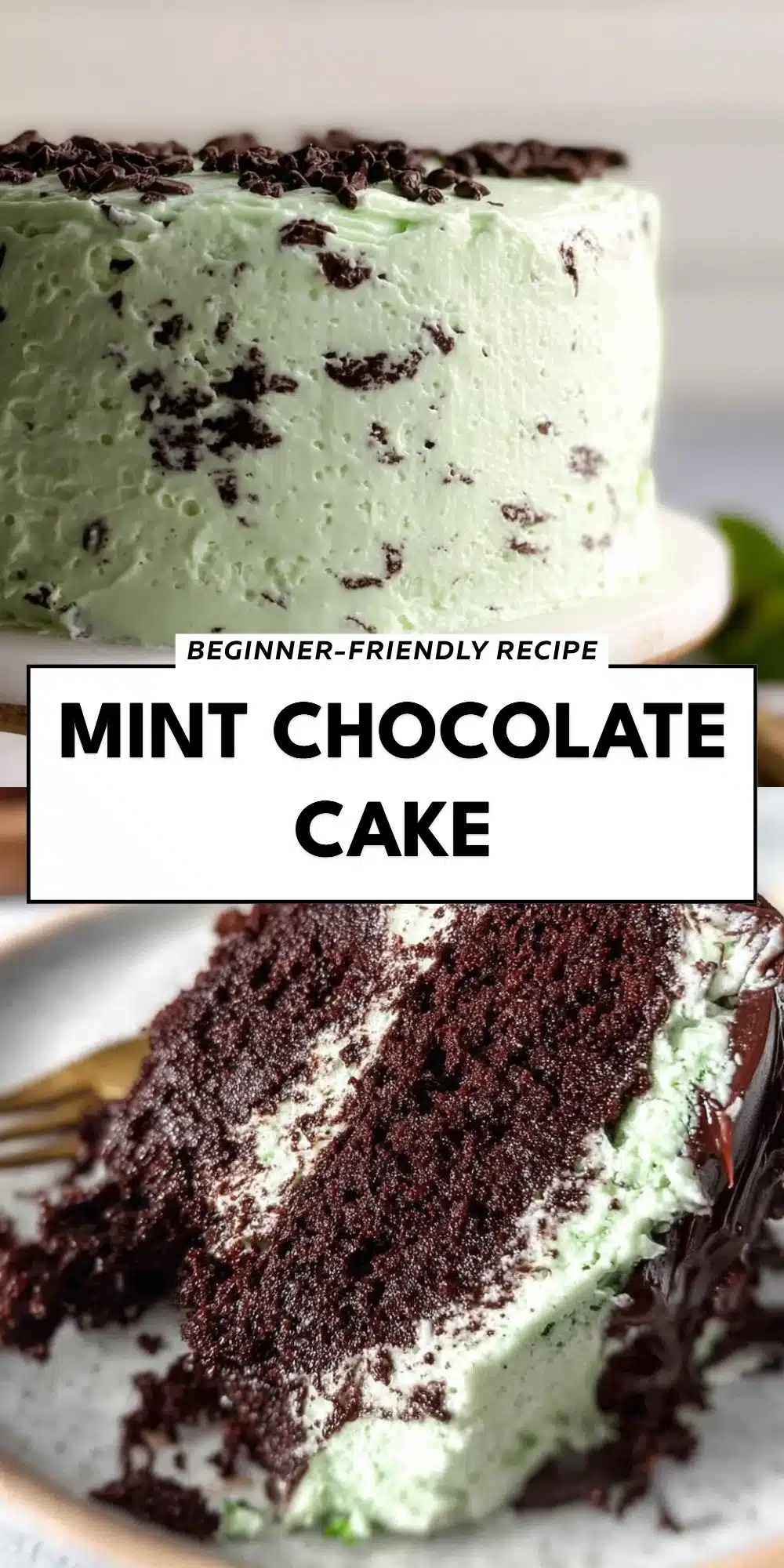 Mint Chocolate Cake