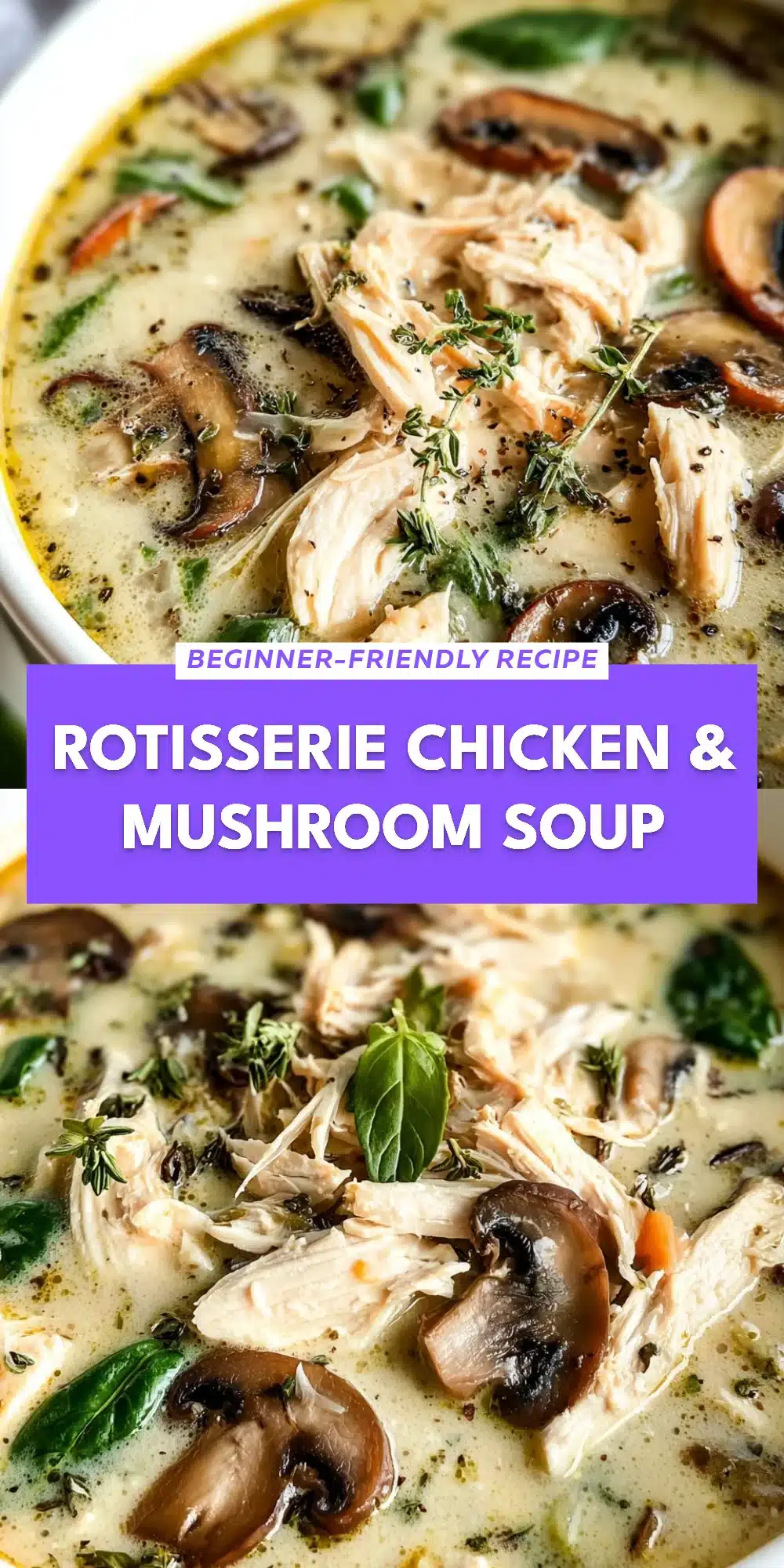 Rotisserie Chicken & Mushroom Soup