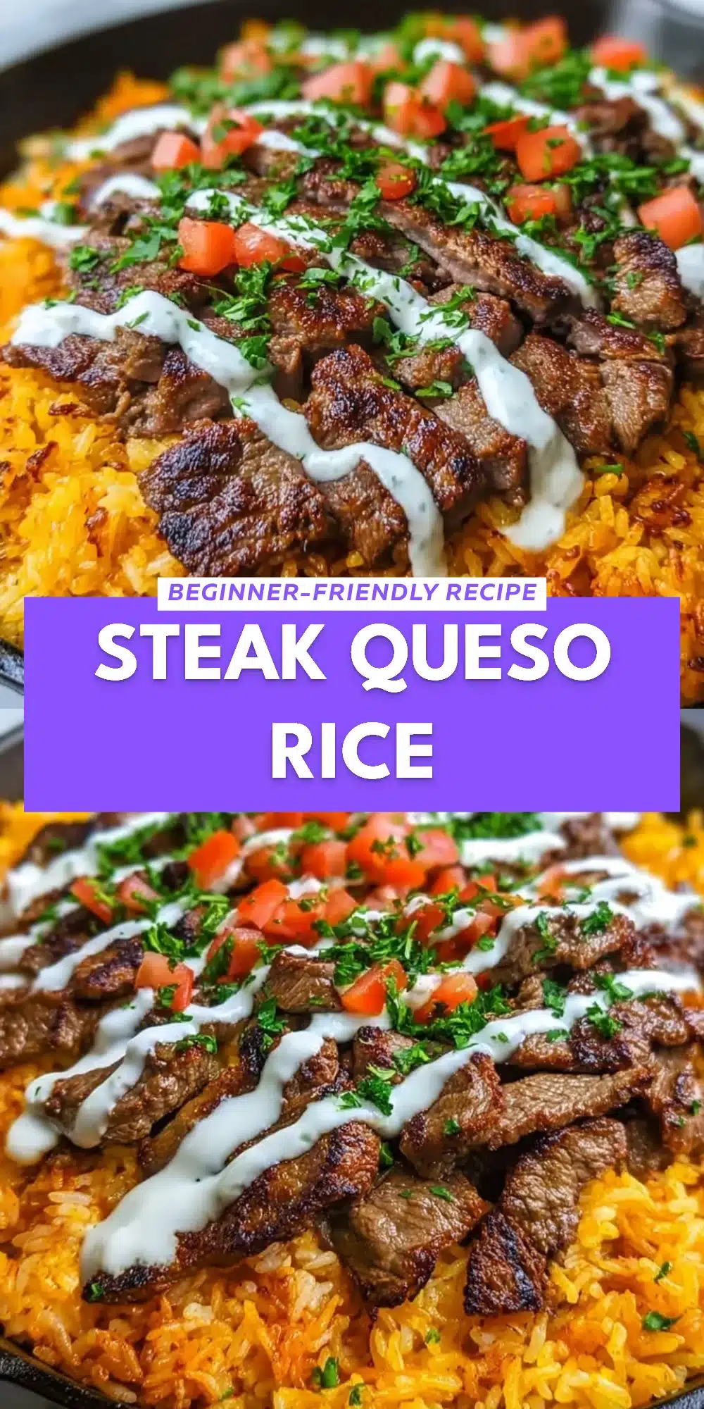 Steak Queso Rice