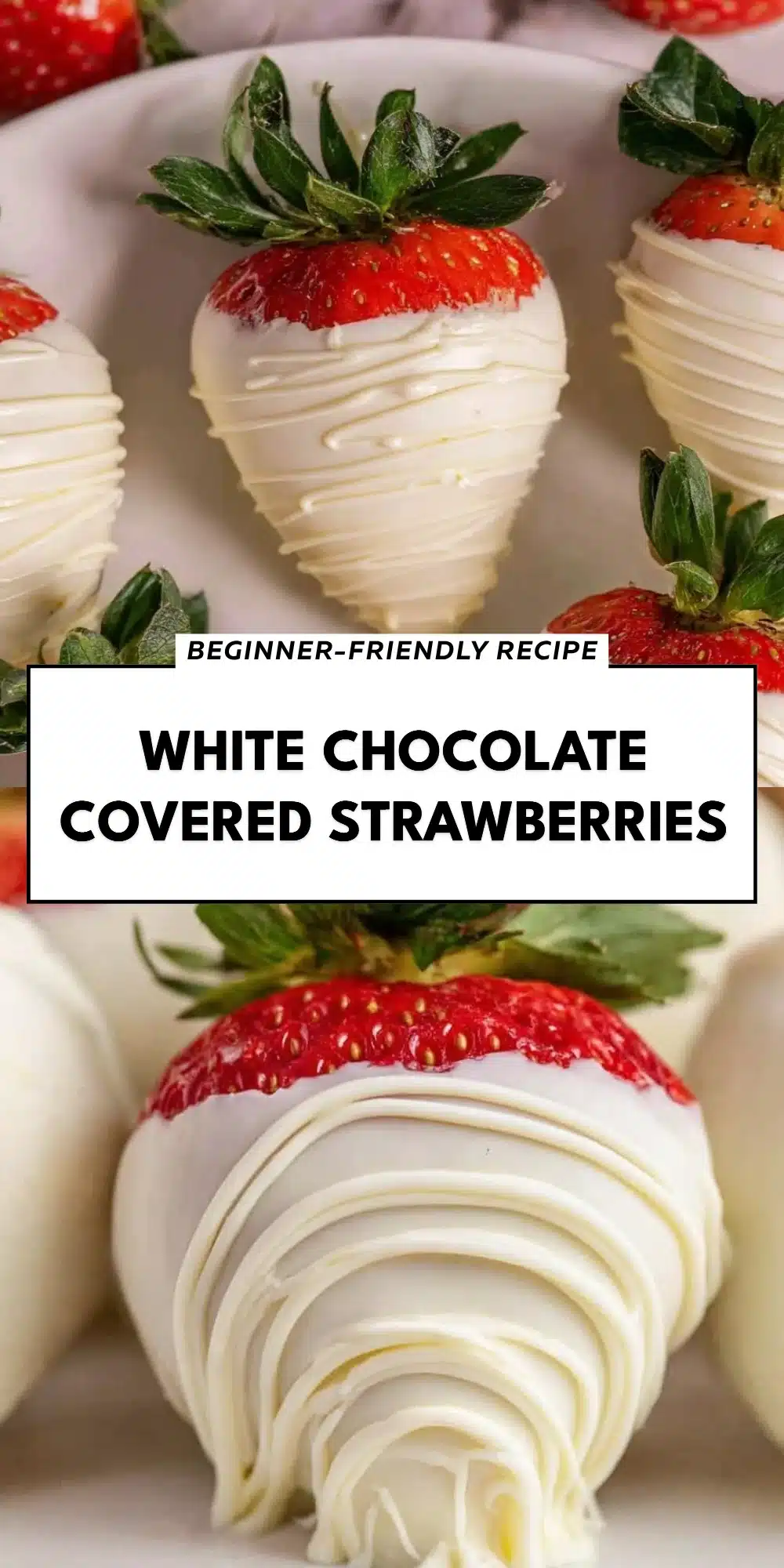 White Chocolate Covered Strawberries