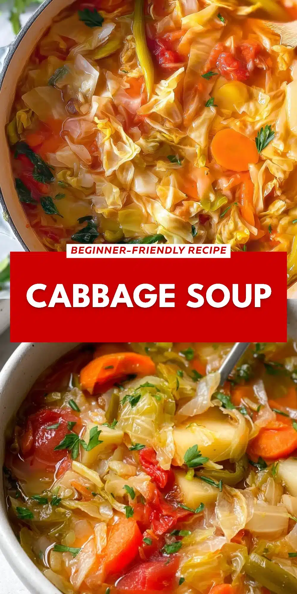 Cabbage Soup