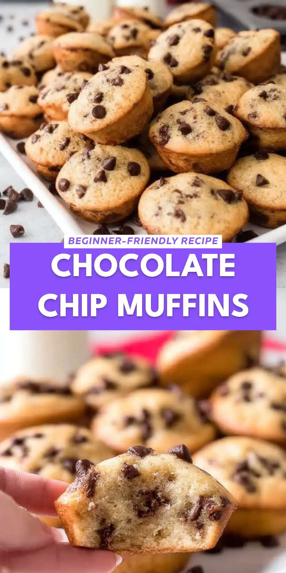 Chocolate Chip Muffins
