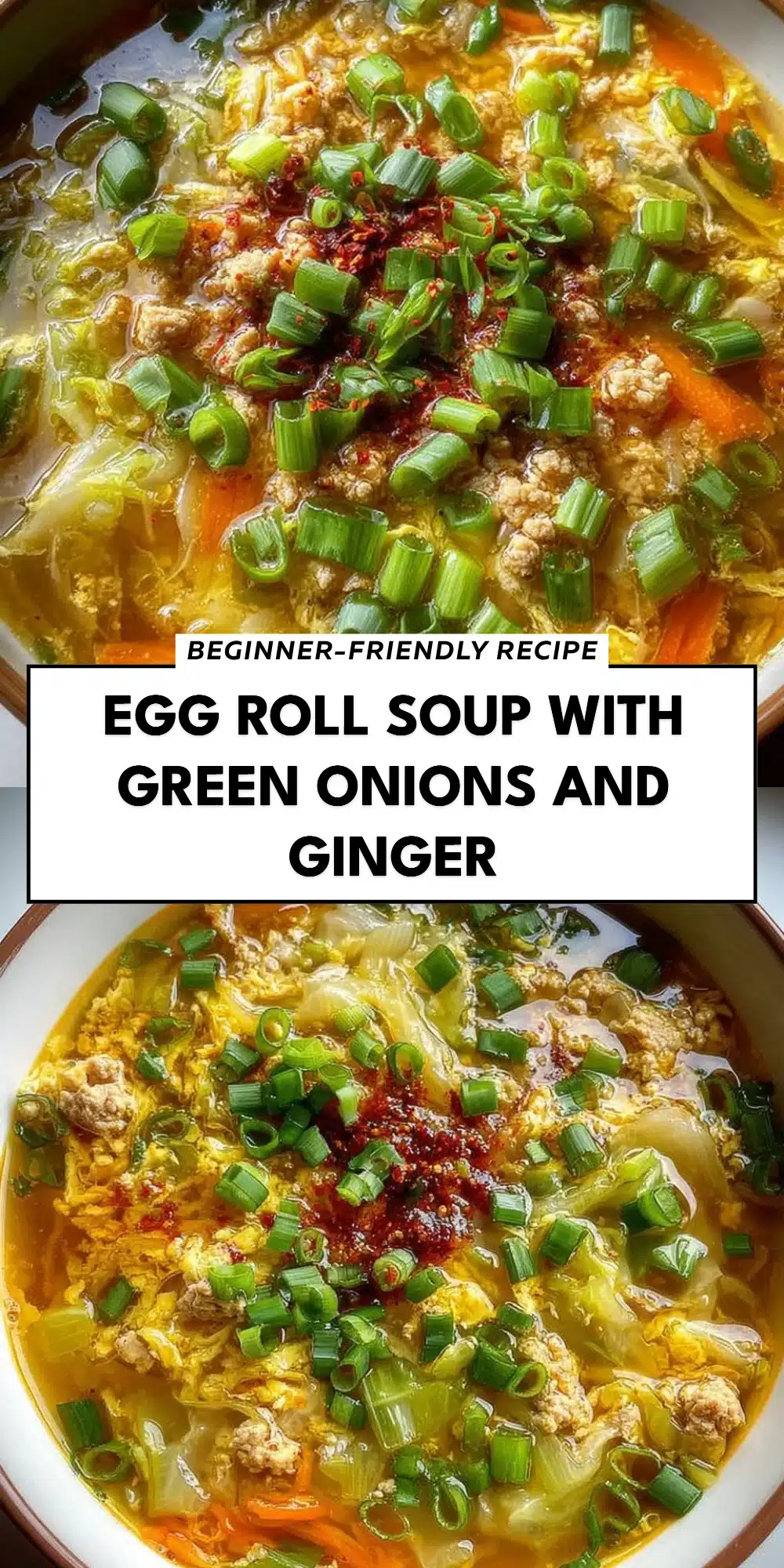 Egg Roll Soup with Green Onions and Ginger