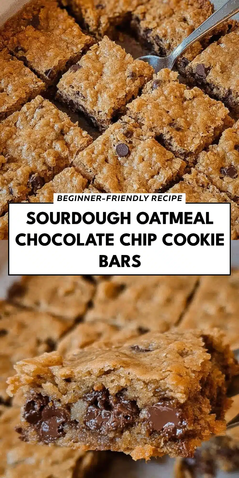 Sourdough Oatmeal Chocolate Chip Cookie Bars