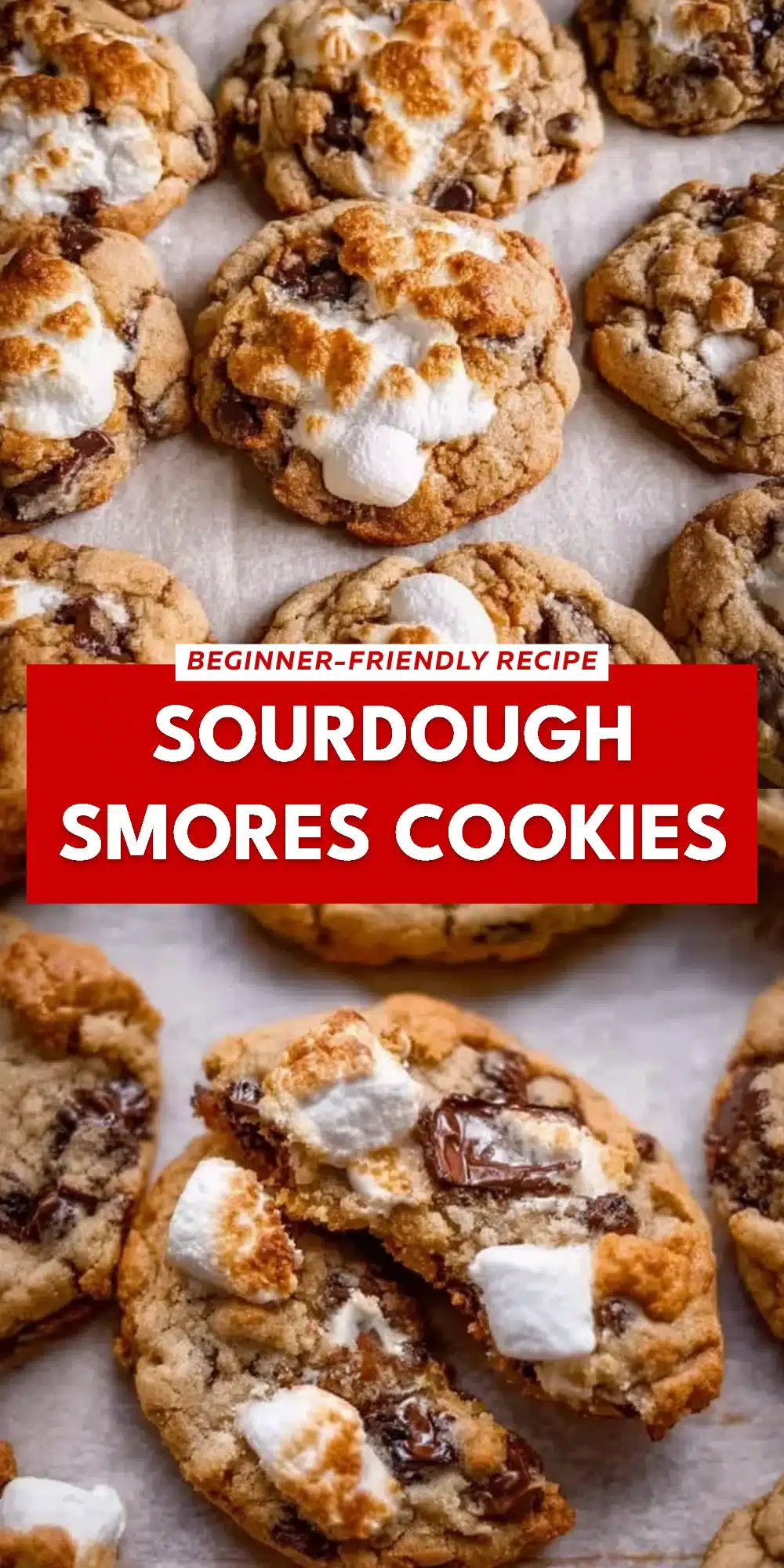 Sourdough Smores Cookies