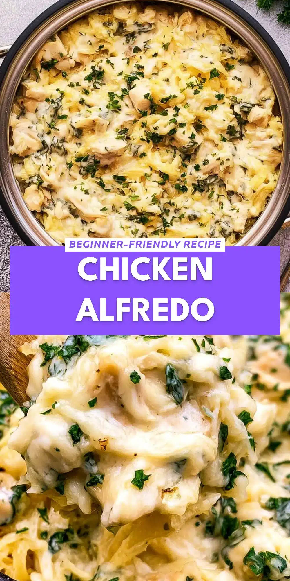 Chicken Alfredo