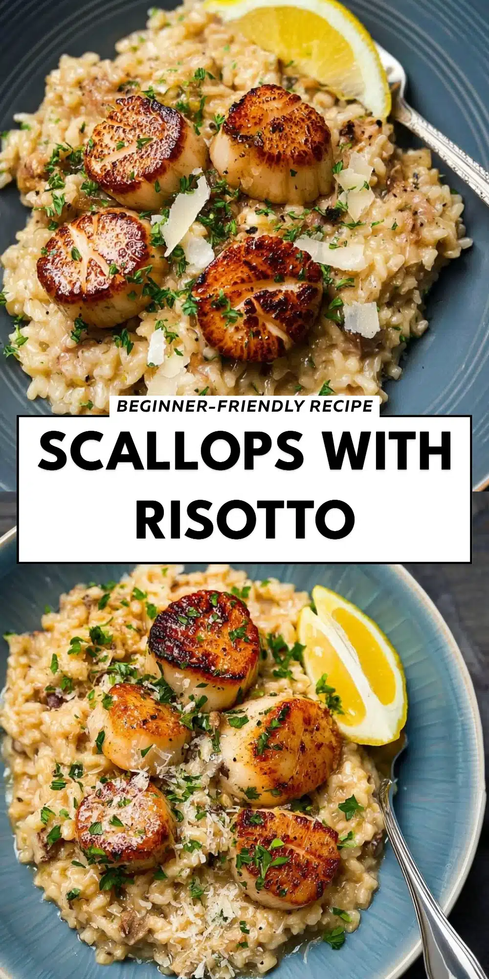 Scallops With Risotto
