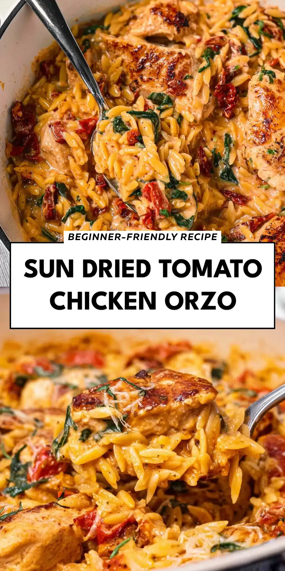 Sun Dried Tomato Chicken Orzo
