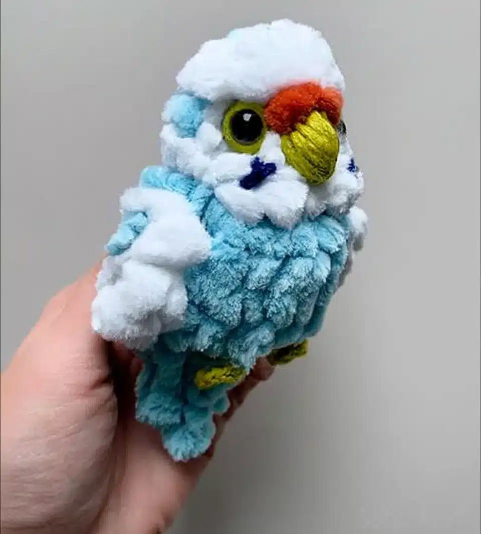 A vibrant pocket parrot perched on a person's shoulder, showcasing its colorful feathers.