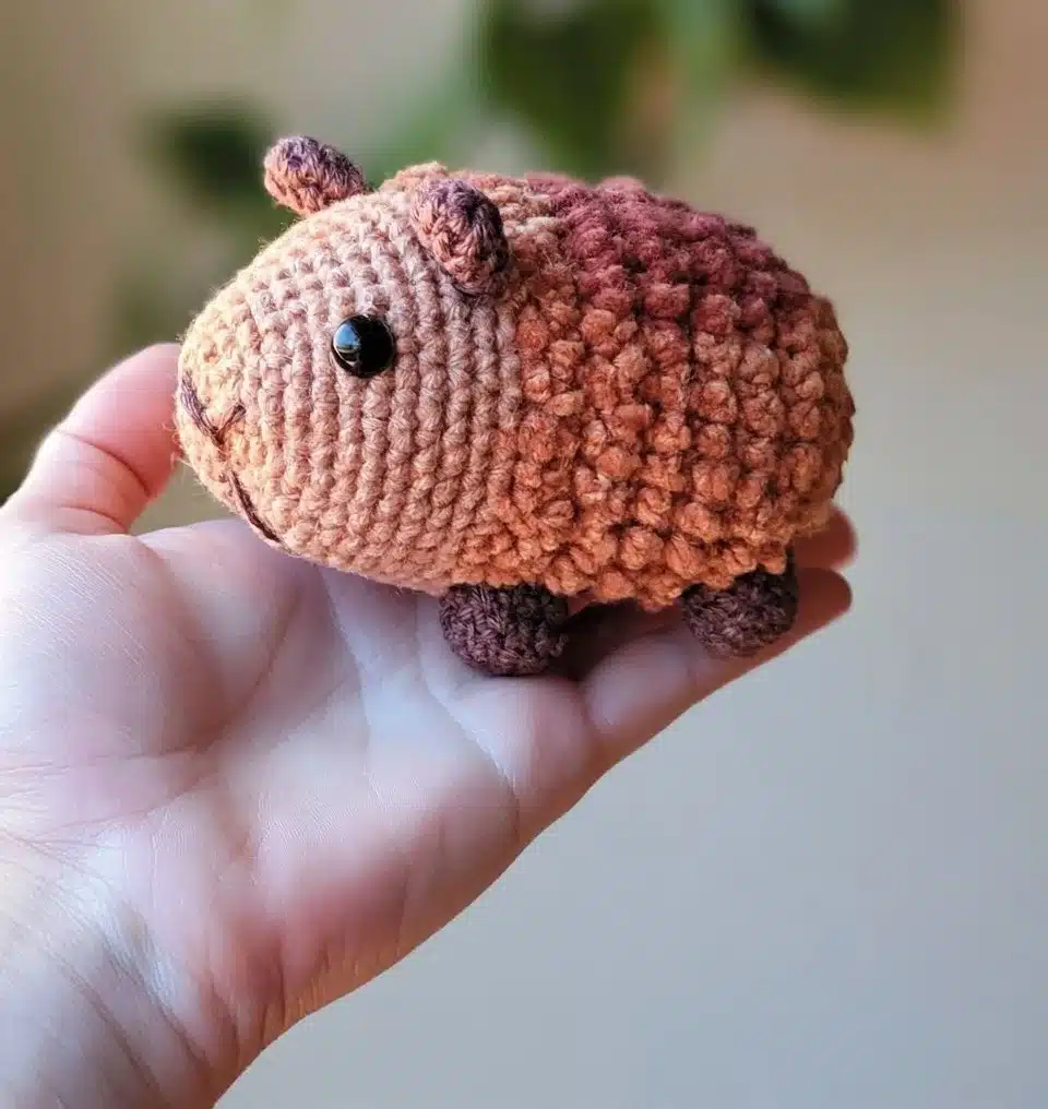 Adorable Pocket Capybara posing for the camera, showcasing its cute features.